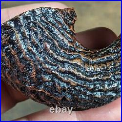 Wojtek Pastuch Artisan Morel-Textured Horn Tobacco Smoking Pipe